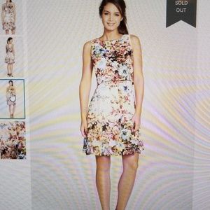 Plus size fit and flare pop over two piece dress